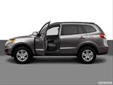  Driver's side profile with drivers side door open photo